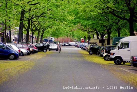 Umgebung Hotel-Pension Bella Berlin - Ludwigkirchstrasse